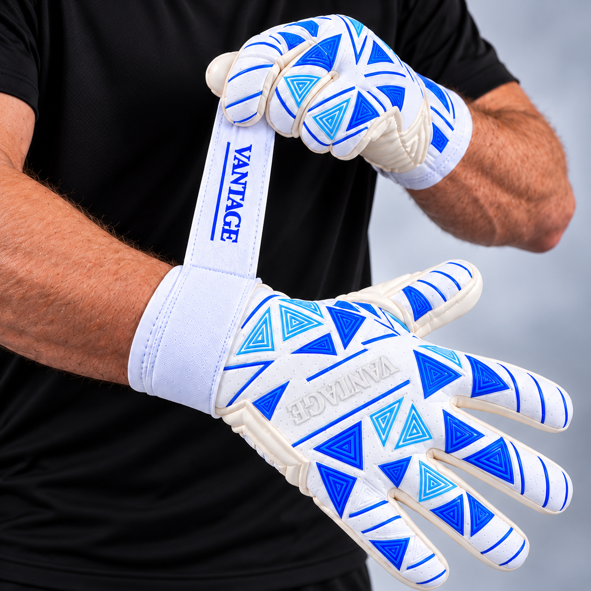 VANTAGE PRO ARCTIC V1
